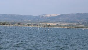 IMG_1838