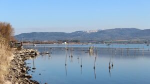 bando_sostegno-mitilicoltura-pescatori-ischitella-non-ammissibili-1024x683